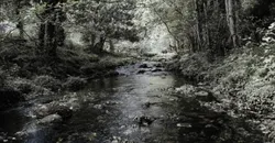 Stream competency Image